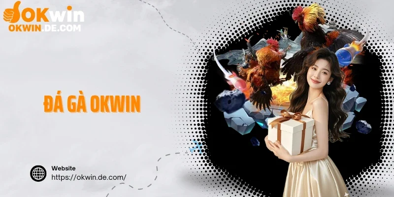 đá gà Okwin