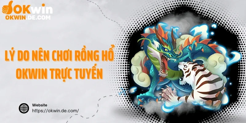 Lý do nên chơi rồng hổ Okwin trực tuyến