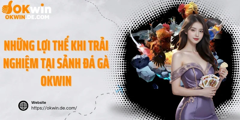 Những lợi thế khi trải nghiệm tại sảnh đá gà Okwin
